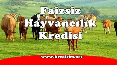 Faizsiz Hayvancılık Kredisi Veren Bankalar