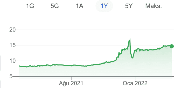 Son 1 yıllık dolar grafiği