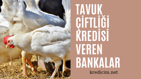 Tavuk çiftliği kredisi veren bankalar